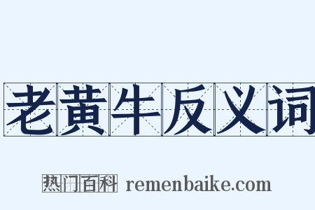 老黄牛反义词是什么意思的图片